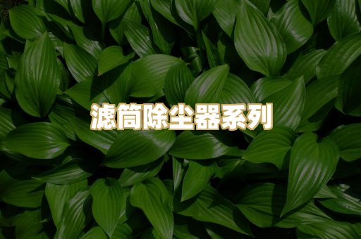 滤筒除尘器系列